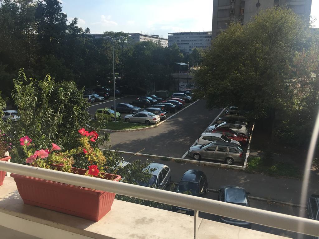 Lovely Apartment Belgrade Luaran gambar